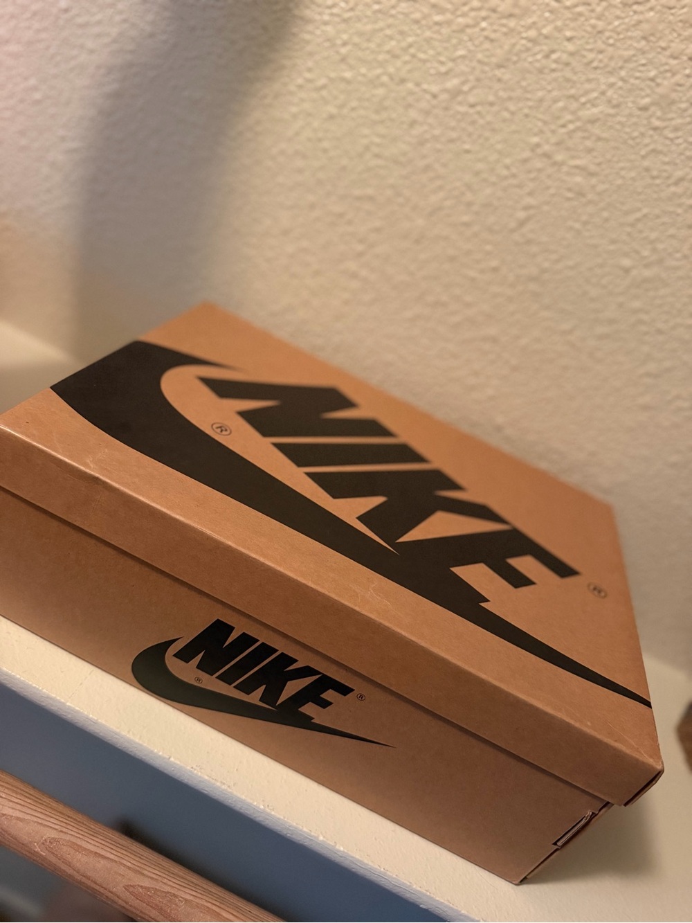 Nike Kraft Shoe Box with Black Logo